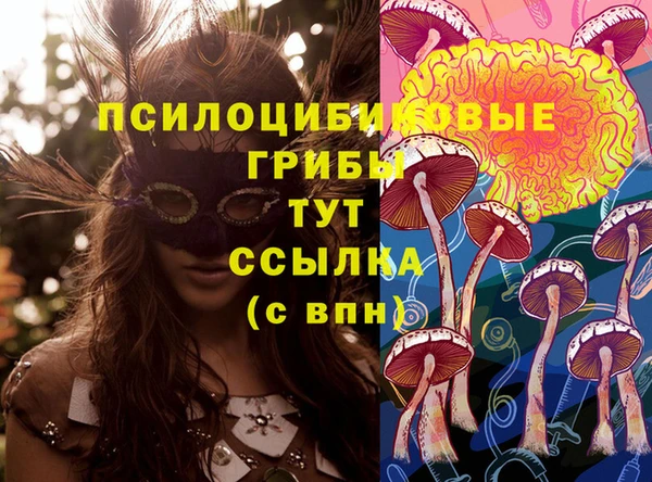 гидра Балахна